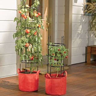 Tomato Grow Bag Kit Thumbnail